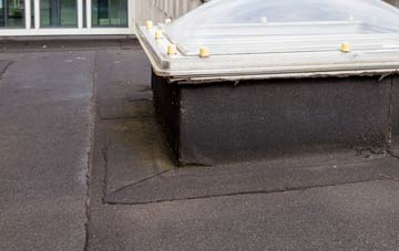 disadvantages of Rinnigill flat roofs