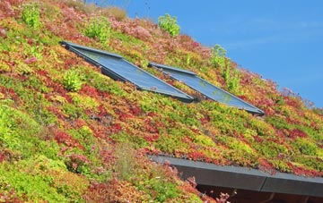 Rinnigill living roof systems