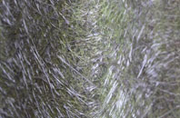 Rinnigill fibreglass roof work