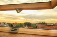 rated Rinnigill roof window companies